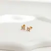 Collar de Acero de Titanio con Cruz de Estrella de Cuatro Puntas con Pedrería Retro para Mujer Cadena para Clavícula de Estrella de Nicho con Toque de Alta Gama Accesorios Transfronterizos