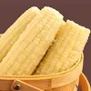 Maíz ceroso blanco del noreste, mazorca de maíz dulce y pegajosa, sellado al vacío para frescura, sin OGM, comida completa de grano entero fresca, maíz listo para comer