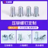Tornillos Remachables Fh-M4-6~50, Tornillos de Placa de Presión, Piezas de Ferretería Galvanizadas de Acero al Carbono, Tornillos Autorroscantes, Roscados, Certificación de Norma Nacional