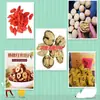 Paquete Mixto al por Mayor de 5 Piezas de Frutas Deshidratadas Incluyendo Azufaifa, Dátiles de Azufaifa, Dátiles Aqiao, Bayas de Goji, Longan, Mora y Nueces, con Envío Gratuito