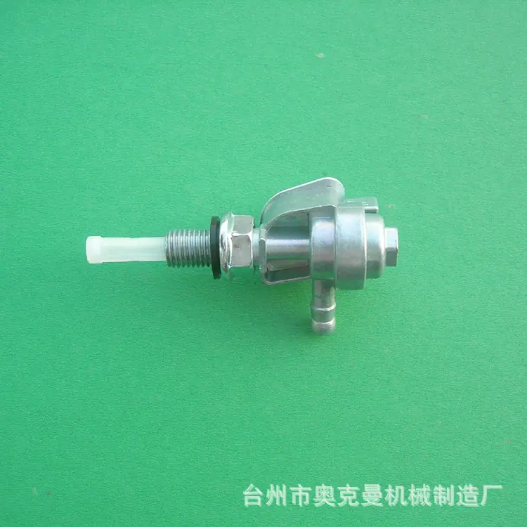 DSCN2556.jpg