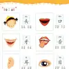 Spot atacado jovem convergência treinamento excelente padrão currículo linguagem matemática pinyin alfabetização jovem até livros didáticos primários