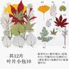 Paquete combinado de 12 hojas verdes paquete de material de hoja espécimen de hoja real material de planta con flor marcapáginas hoja DIY