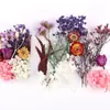 Kit de Materiales de Flores Secas Transfronterizo para Bricolaje Marco de Fotos de Flores Eternas Materiales Hechos a Mano para Hacer Decoraciones de Regalo Navideño Al por Mayor de Fabricantes