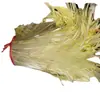 Cubierta de Plástico para Cebollín y Ajo, Tubo de Plantación para Cebollín y Ajo, Cubierta Universal para Cebollín y Ajo, Cubierta Redonda para Trigo