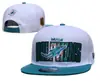 Gorra de béisbol para hombres y mujeres, gorra de visera plana bordada hip-hop, nuevo sombrero de la NFL 2025, gorra para protección solar al aire libre
