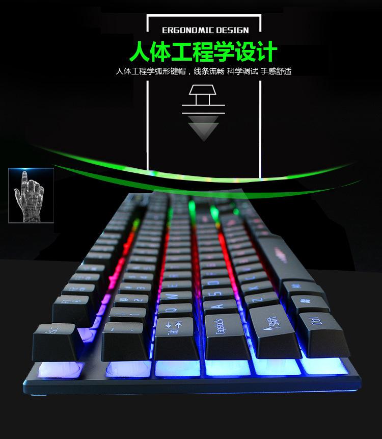 K9详情页_08.jpg