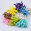 Atacado de fábrica de Yunnan buquê de flores secas de capim-rabo-de-coelho flores eternas estilo Ins DIY arranjo de flores oferta especial da fábrica de capim-rabo-de-coelho