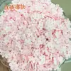 Agita la explosión de sonido 10 mm flor de ciruelo color sólido acrílico esmerilado cuentas accesorios para collar hechos a mano DIY material al por mayor