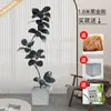 Planta Artificial Verde Grande Black Diamond Árbol de Goma Planta en Maceta de Interior para Sala de Estar Decoración de Planta de Árbol Imitación de Lujo Ligero de Gama Alta