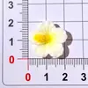 Acessórios de Resina Flor Colorida de Cinco Pétalas Brilhante para DIY Tamancos Presilhas de Cabelo Elásticos de Cabelo Capa de Celular Ímãs de Geladeira Adesivos Decorativos