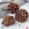 Virutas de Madera Cáscara de Nuez Material Planta Taibao Especimen Piña de Pino Paquete de Materiales de Flores Secas DIY Chen Mai Hecho a Mano Bellota Seca Marco de Fotos
