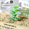 004 Cabeza de Flor de Planta Suculenta Verde Afelpada Suministros Creativos para Bricolaje Accesorios para Colgar en la Pared Decoración de Flores para el Hogar Planta Verde Shangyi