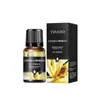 Óleo Essencial Aromático Solúvel em Água YINSHO 10ml Difusor Pedra de Incenso sem Fogo Agente de Fragrância Aromática Rosa Jasmim