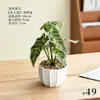 Plantas em vaso em miniatura de folha verde, folhagem artificial, mini bonsai, decoração de casa, ornamentos internos, folhagem artificial no atacado