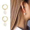 Pendientes retro franceses con perlas de agua dulce, pendientes de otoño e invierno de acero de titanio chapados en oro de 18 quilates, adornos navideños F340