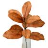 Arreglo floral de simulación de hoja de magnolia, película para hojas, accesorios de hoja de cartón para bodas transfronterizas, pegamento para tela Binghua, Binghua