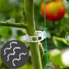 Fijador de rama para pepino, tomate y legumbres, correa de sujeción verde para plantas y verduras, pinza para vid específica para vides