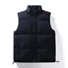 Chaleco de algodón para hombre de otoño e invierno, chaqueta sin mangas moderna y versátil, cuello alto, engrosado para abrigar