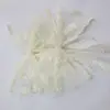 Abrazaderas de Cortina de Encaje, Hebillas Decorativas de Cortina Estilo Romántico Francés, Abrazaderas de Cortina Juveniles con Mariposas para Dormitorio y Sala de Estar