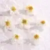 Flores Artificiales, Accesorios para Fotografía de Bodas, Accesorios para el Cabello Hechos a Mano para DIY, Materiales Decorativos para Caja de Flores de Amazon