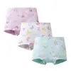 Fábrica de Ropa para Niños de 15 Años Fábrica de Ropa para Niños de 15 Años Servicio Personalizado Integral Logo Personalizado