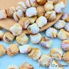 Colgantes para pulseras, pendientes y accesorios DIY de la serie de estrellas de mar, conchas y caracolas simuladas de acrílico transfronterizas