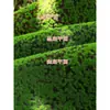 Musgo Falso Bloques de Musgo Verde Alfombra de Piso de Césped Artificial Decoración Estilo Bosque Ventana de Exhibición Pared de Plantas Paisajismo Pavimentación de Césped Verde
