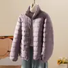 Chaqueta de Algodón Rellena de Plumas Marca de Moda para Mujer Ligera Corta 2023 Cuello Otoño e Invierno Nueva Ajustada Ligera Cálida Chaqueta Blanca de Felpa