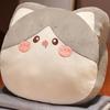 Almohada Calentador de Manos de Gato Edredón Almohada de Doble Uso Almohada para Siesta para Coche Oficina Manta 2 en 1 Regalo de Vacaciones