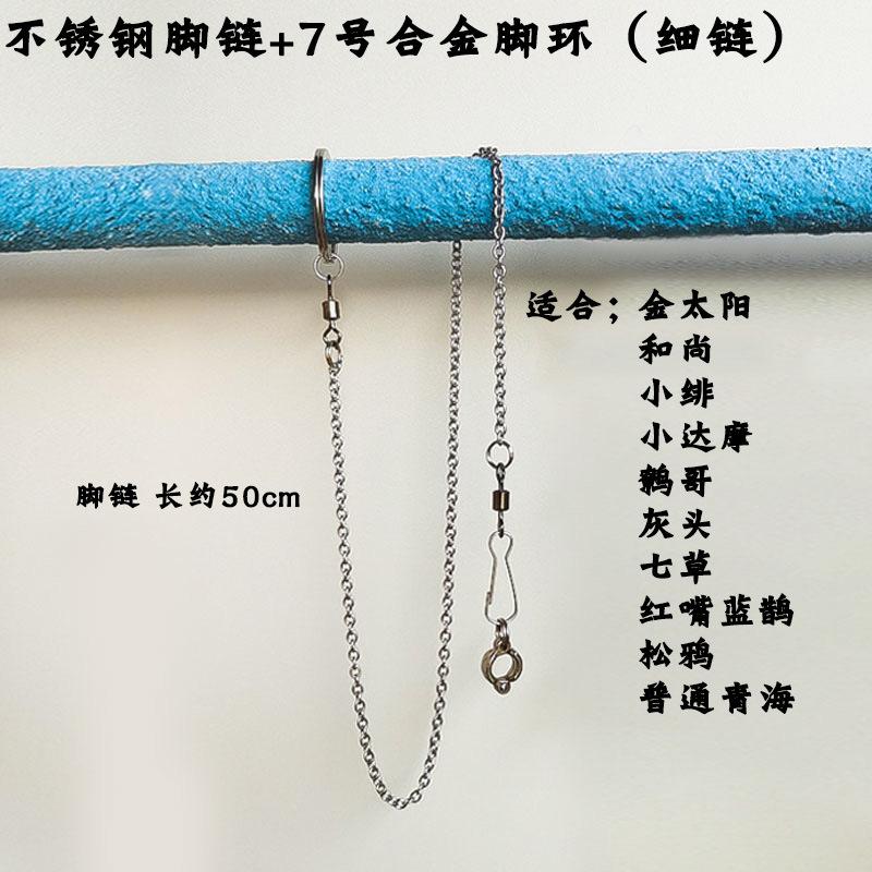 7号脚链