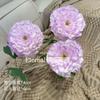 Flor Artificial 3 Cabeças Lótus Orvalhado Rei Carpa Peônia Peônia Persa Salão de Casamento Flor de Seda Decoração de Interiores Flor Artificial