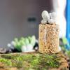 Mini tubo de ensayo jarrón pequeño suculenta botella de vidrio micro paisaje botella ecológica musgo decorativo recipiente hidropónico botella pulgar
