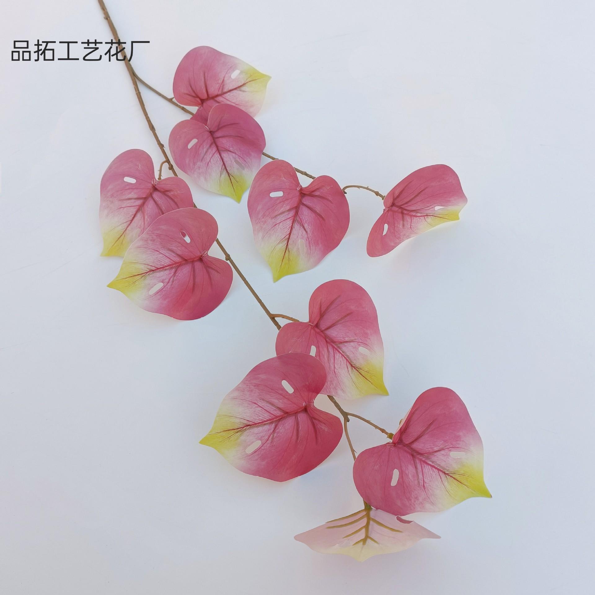 0145792338da95d13aeeda25537c14