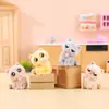 Nuevas Figuras de Gatos Mascotas Lindas y Adorables en Caja Sorpresa, Pequeños Adornos Creativos para Decoración de Escritorio en Casa, Regalos de Vacaciones al por Mayor