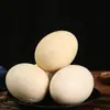 Especialidad del noreste huevos de ganso fragantes estofados snacks listos para comer huevos de ganso salvaje frescos de corral estofados y asados primero estofados luego asados yema clara sabrosos