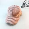 Gorra de Béisbol de Peluche de Diseñador Japonés Celebridad de Internet Estilo Coreano Cara Elegante Gorra Pequeña para Mujer Invierno Engrosada Cálida