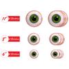 Amazon AliExpress Pegatinas de Halloween Transfronterizas Pegatinas de Vacaciones de Comercio Exterior Pegatinas de Pared de Ojos de Calabaza