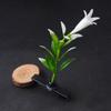 Lindo Artefacto Peine Pequeño de Hierba Brote de Frijol Cabeza de Flor Peine Largo de Hierba Valor Hierba Larga Cabeza de Flor de Ciempiés Artificial Venta al por Mayor