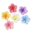 Novos Acessórios Coloridos de Resina Plumeria DIY Cola de Creme Fivelas para Sapatos Furados Grampos de Cabelo Brincos Acessórios para Capa de Celular