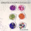 Pacote de Material Colorido Estilo Ins Acessórios para Unhas Arte Cristal Tubo Tubo de Arroz Contas Pérola Cascalho Mineral Material DIY para Unhas