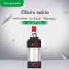 No cilindro padrão conservado em estoque SC63 do SC * 25-50-75-100-125-150-175-200-250x300sc50