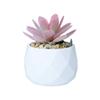 Mini Simulação Criativa Transfronteiriça Suculenta em Vaso Flocagem de Diamante Decorações de Escritório e Casa Ornamentos de Plantas Verdes para Desktop