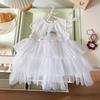 [Listo para envío] Vestido de niña 2025 Verano Nuevo Estilo Bebé Dibujos Animados Malla Vestido de Princesa Vestido de Pastel