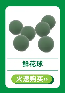 5.4Lucy热卖推荐-5.jpg