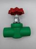 Válvula de Globo de Acero Inoxidable Verde Acero Inoxidable Zhongcai Amarillo Válvula de Globo Válvula de Globo de Gran Flujo Rosen Industria de Tuberías
