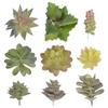 Suculentas Simuladas, Decoraciones de Plantas Verdes, Combinación de Mini Adornos de Cactus, Plantas Suculentas en Maceta, Bonsái al Por Mayor