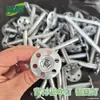 Tablero de Respaldo Impermeable Accesorios Especiales Anclajes de Garra de Acero Galvanizado Inoxidable Arandelas Aislantes Clavos Paraguas Tornillos de Nylon