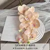 Flores Artificiales Color Champán para Bodas al Aire Libre, Decoraciones de Fondo de Boda, Adornos para Sala de Estar en Casa, de Alta Gama y Realistas