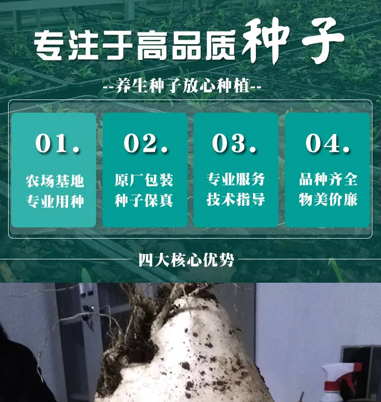 阿里版_01